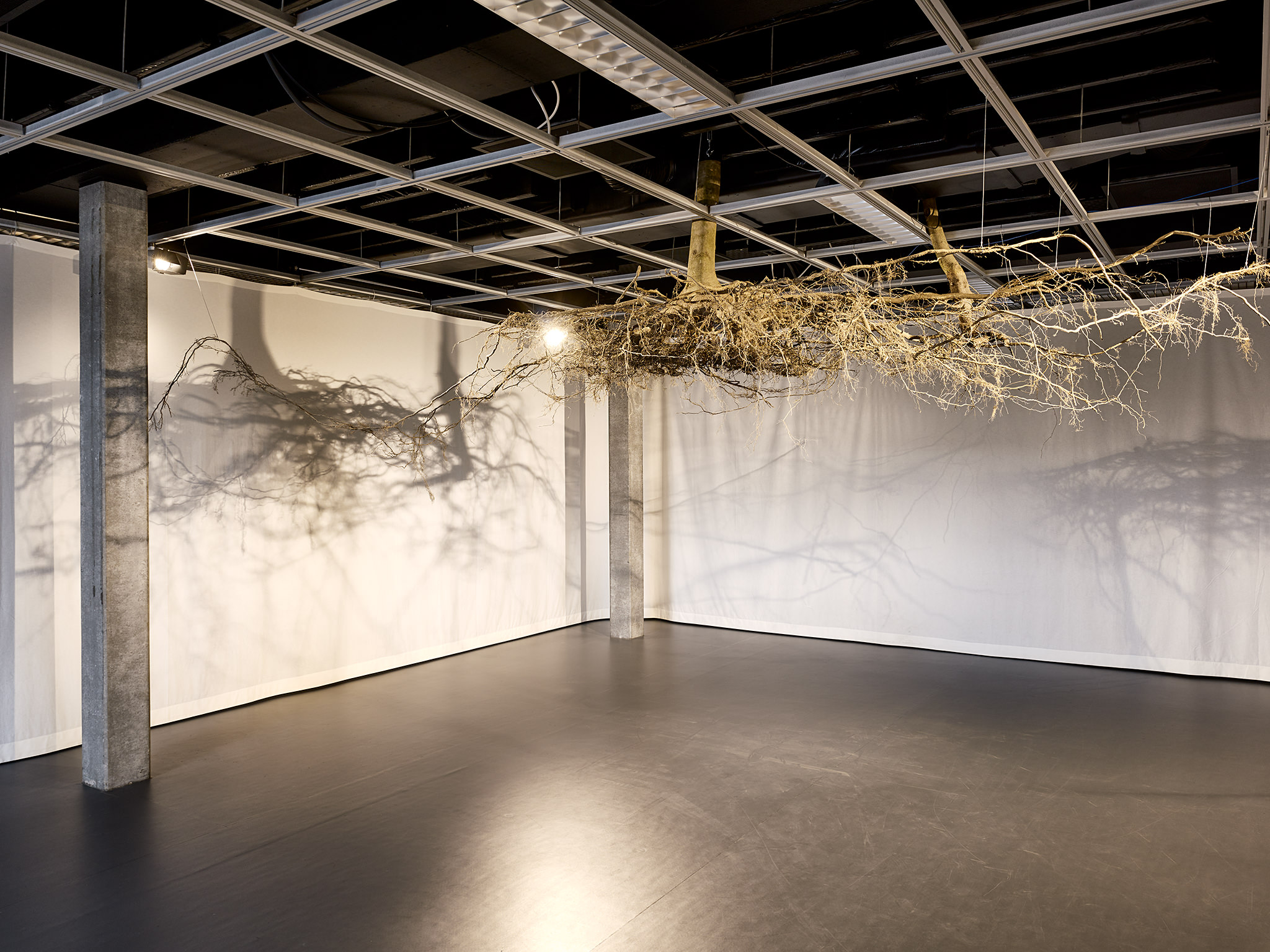 LIVE MATTER - Design Vegetal